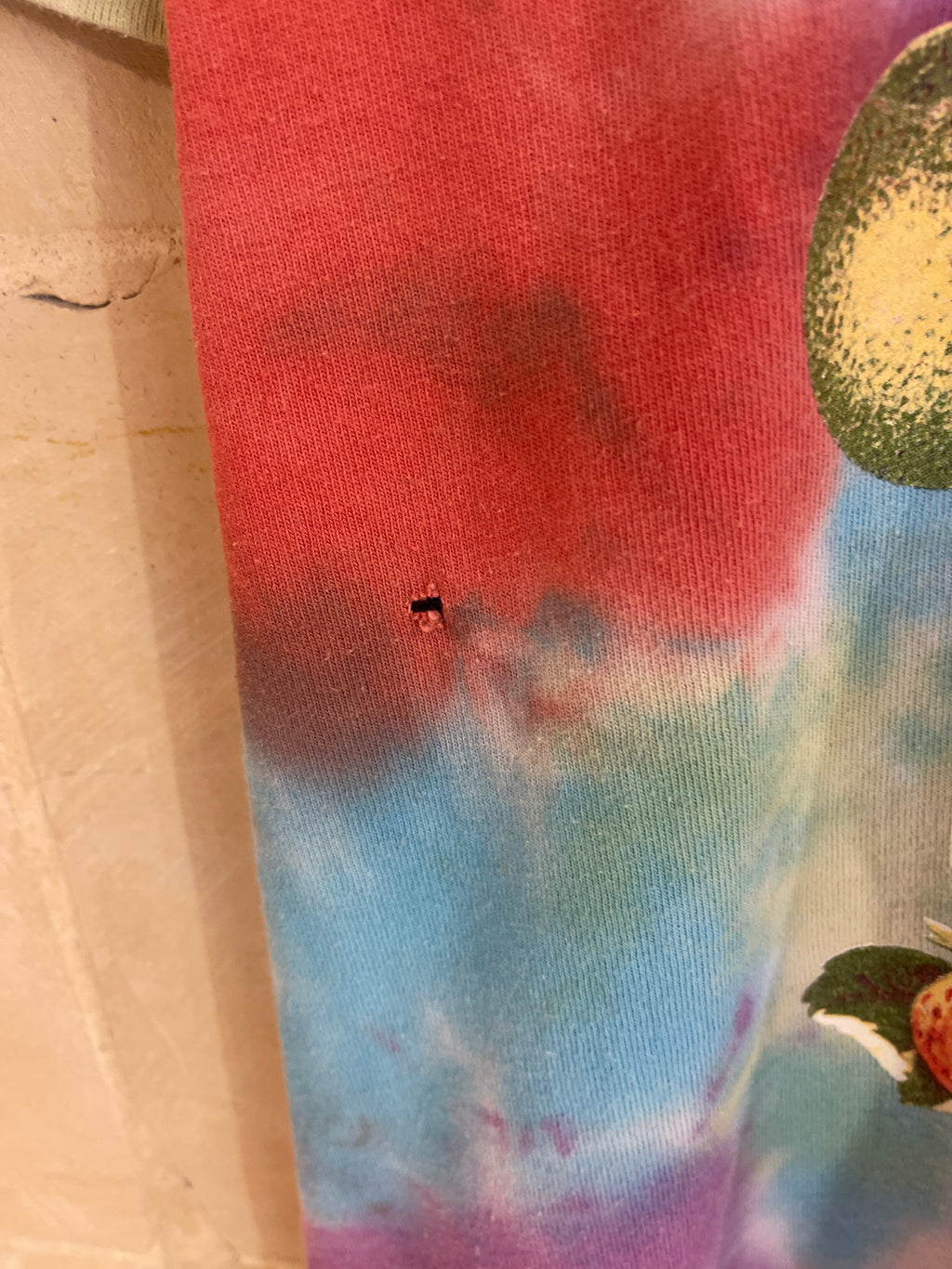 Obey Summer Fruits Tee (Medium)