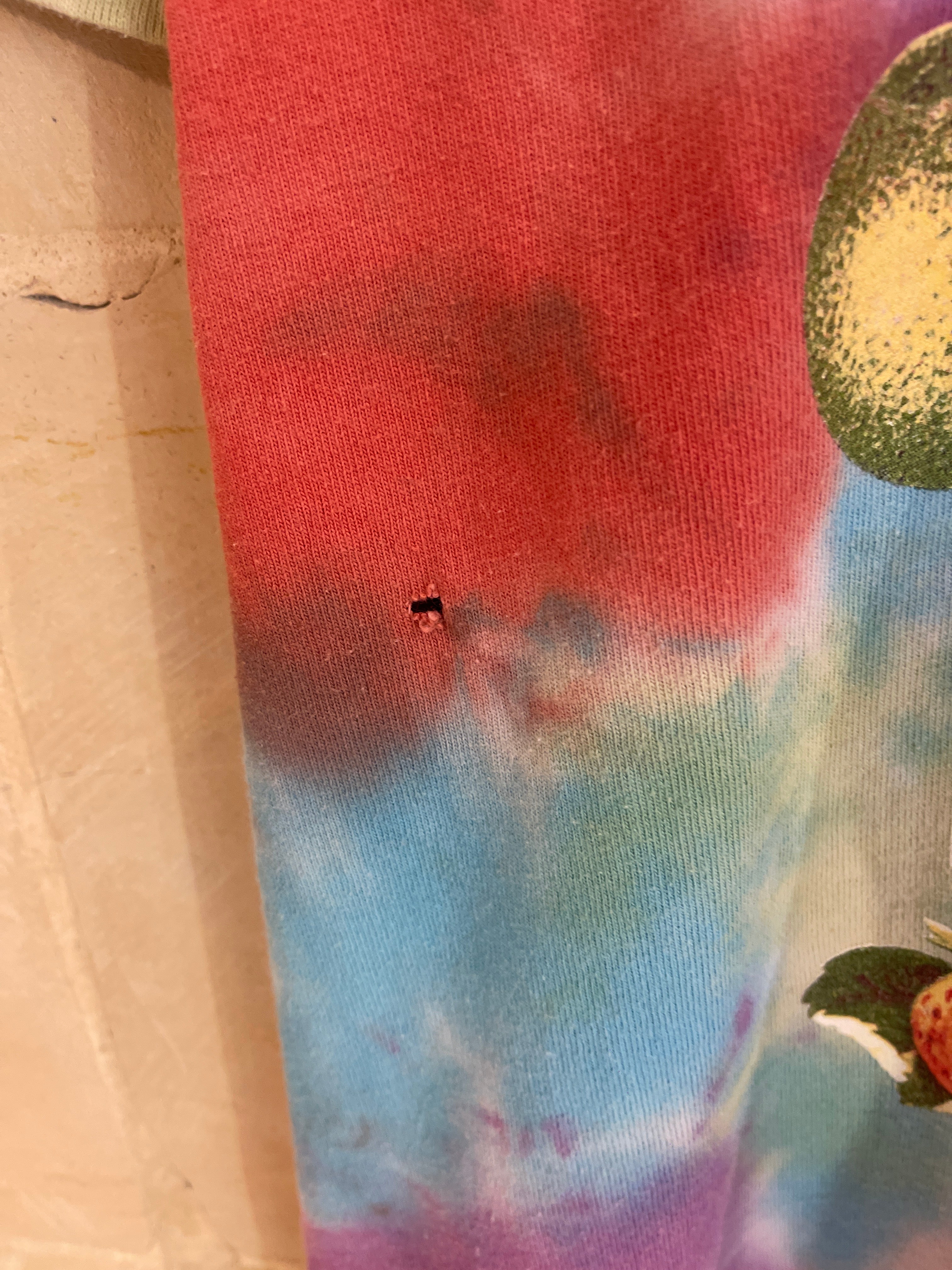 Obey Summer Fruits Tee (Medium)