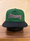 Stussy Cap