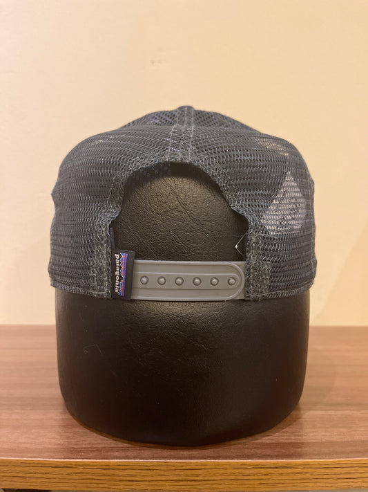 Patagonia Cap