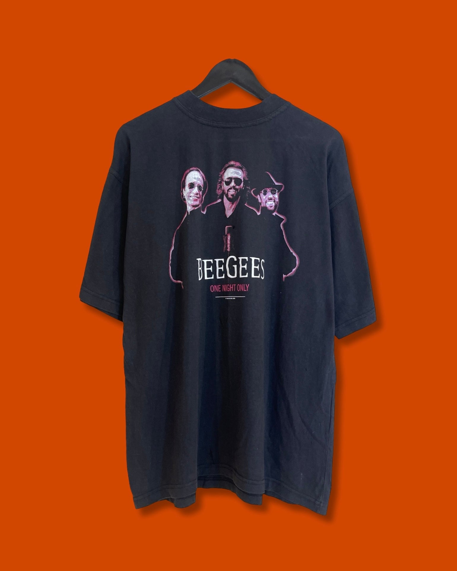 Vntg 1998 Beeges Tee (XL)