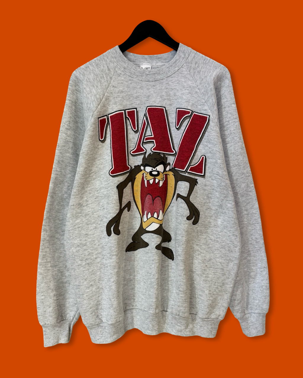 Vntg 90s Taz Crewneck (XL)