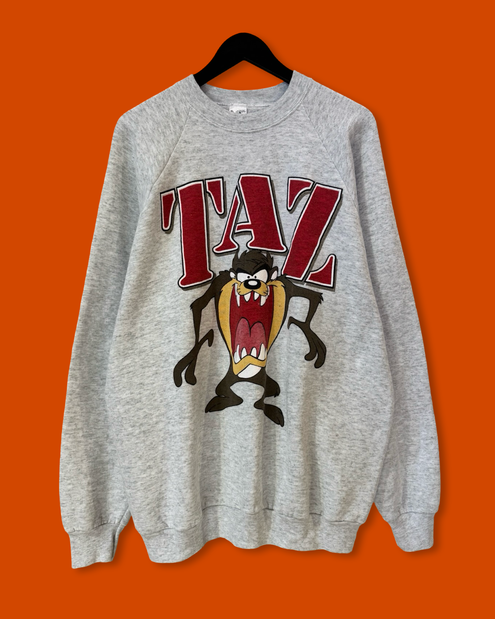 Vntg 90s Taz Crewneck (XL)