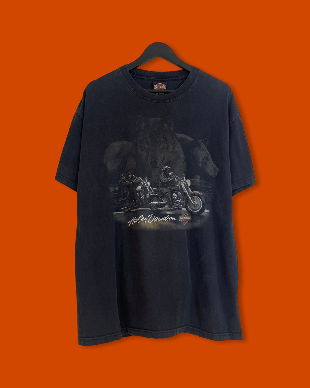Harley Davidson Flaming Buffalo Tee (Large)