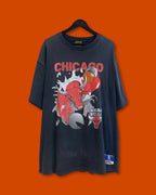 Vntg Chicago Bulls Tee (XL)
