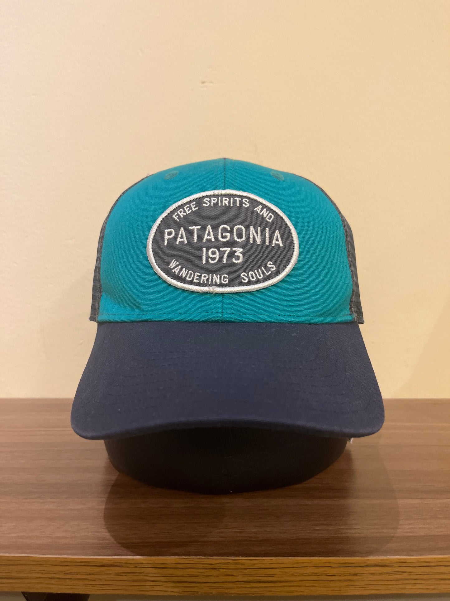 Patagonia Cap