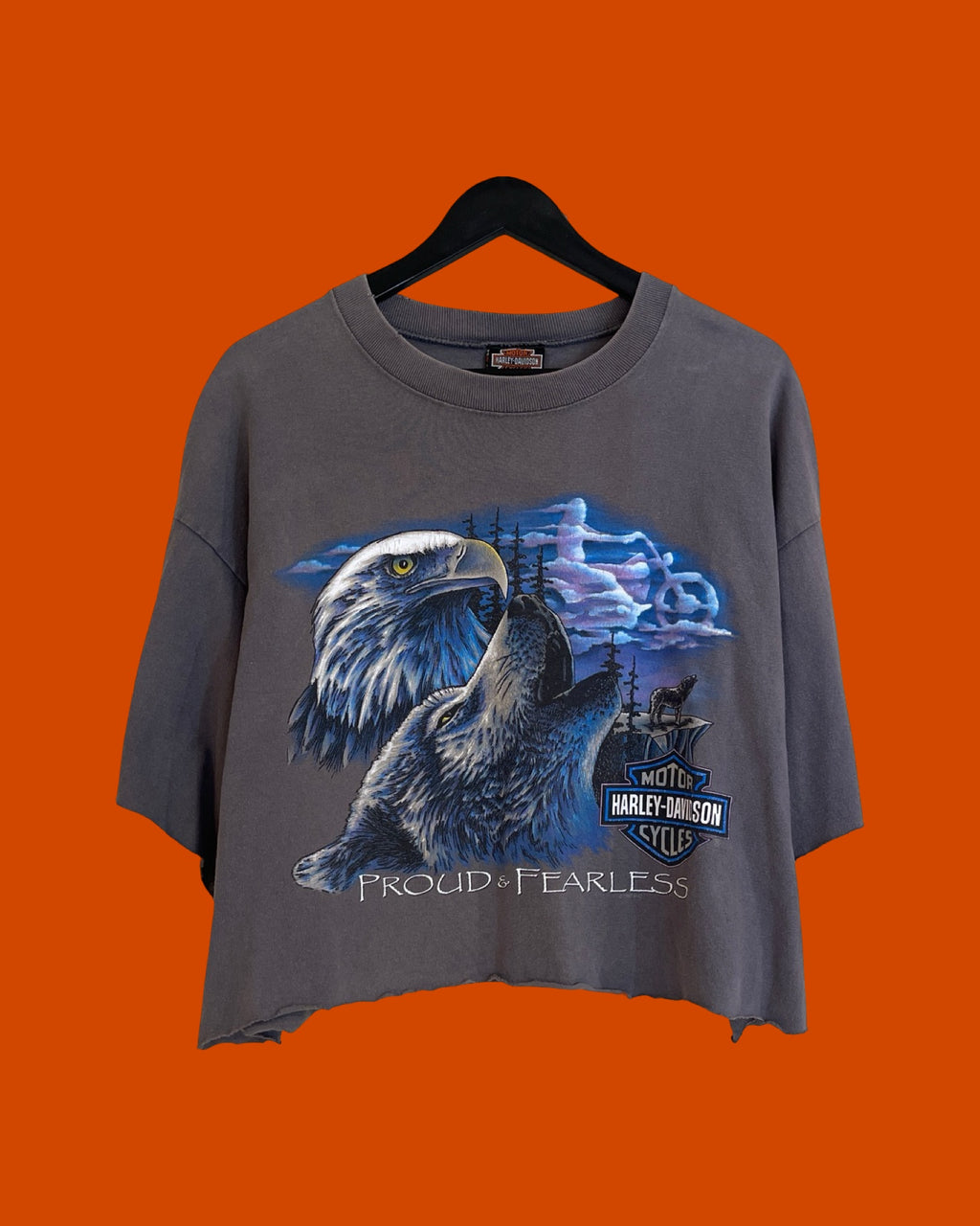 Harley Davidson Proud and Fearless Cropped Tee (XL)*