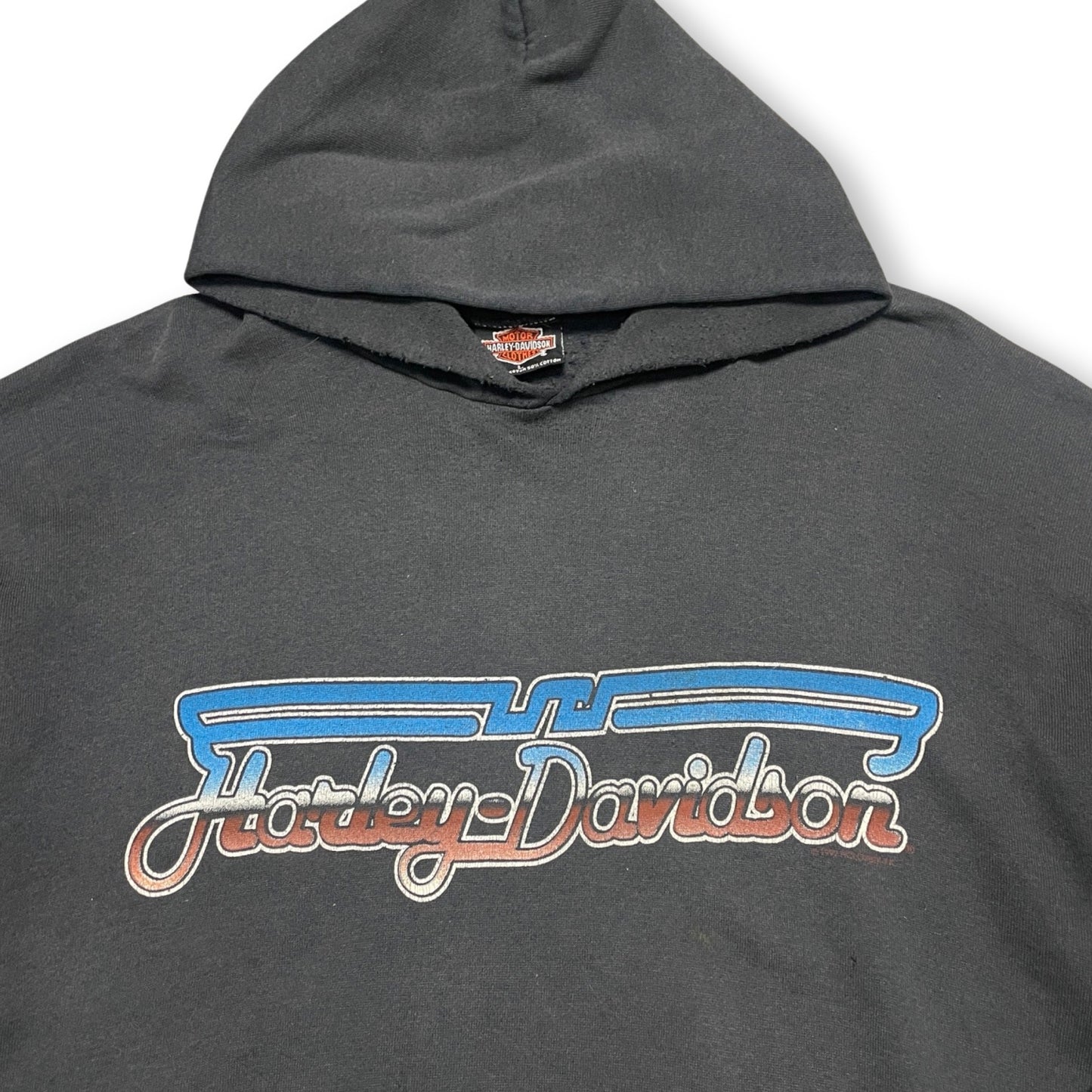 1992 Harley Davidson Hoodie (Large) *holes & distressings*