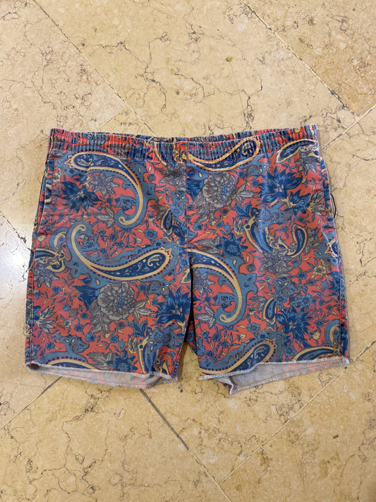 Stussy Shorts (W36)