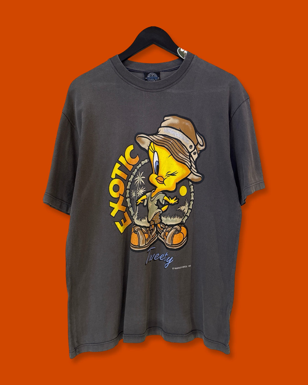 Vntg 1998 Tweety Tee (Medium)