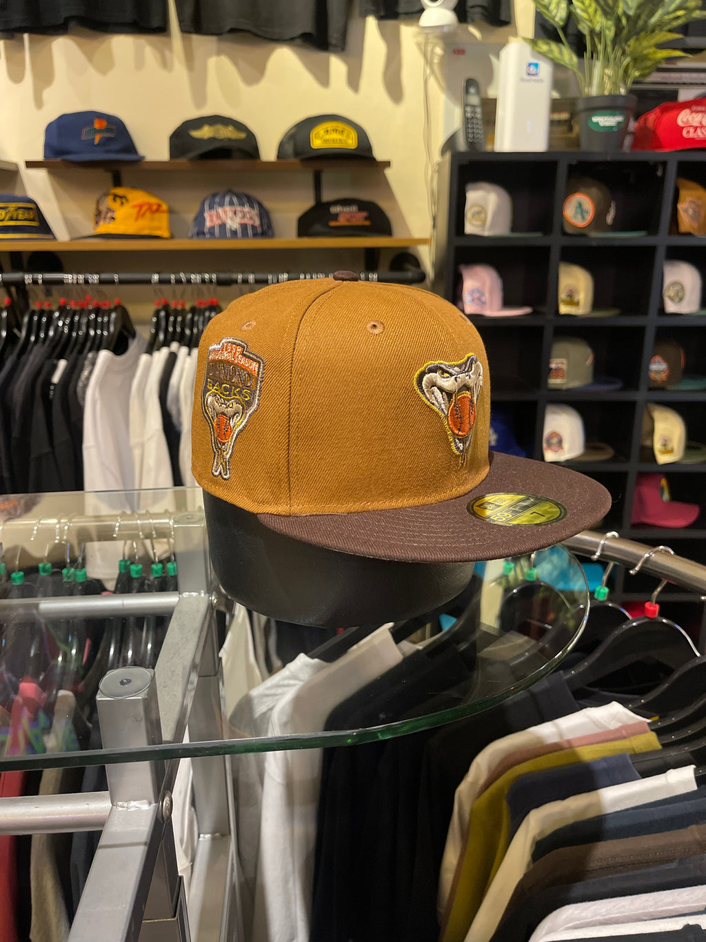 Brand New Arizona Diamond Bucks Closed Cap Choco-Brown (Size 7)