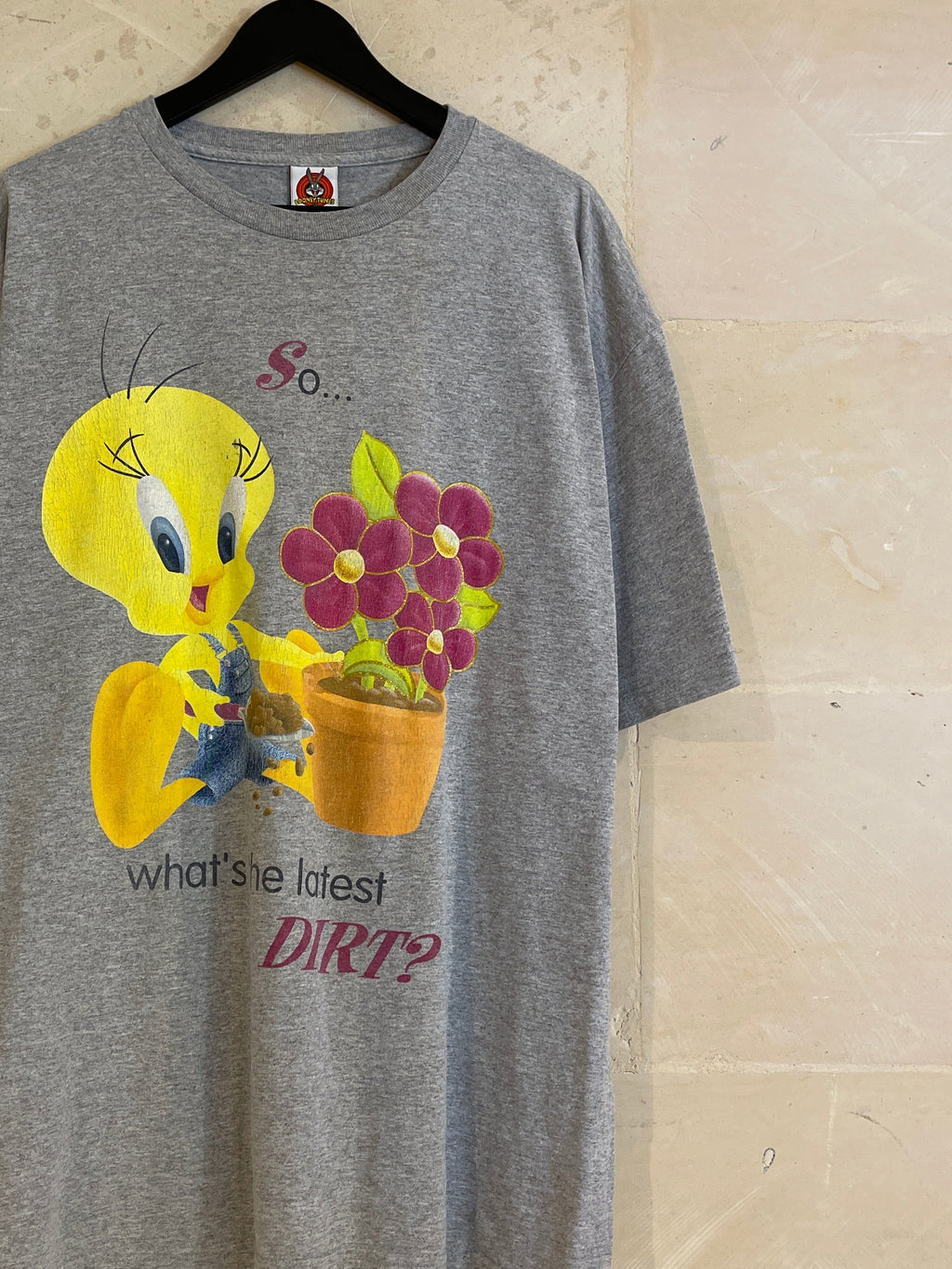 Vntg Tweety Flower Tee (XL)