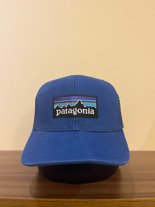 Patagonia Trucker Cap