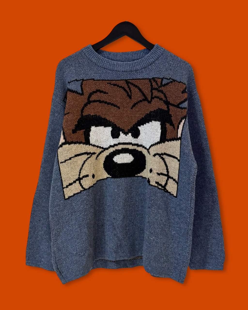 Vntg Taz Sweater (Fits Large)