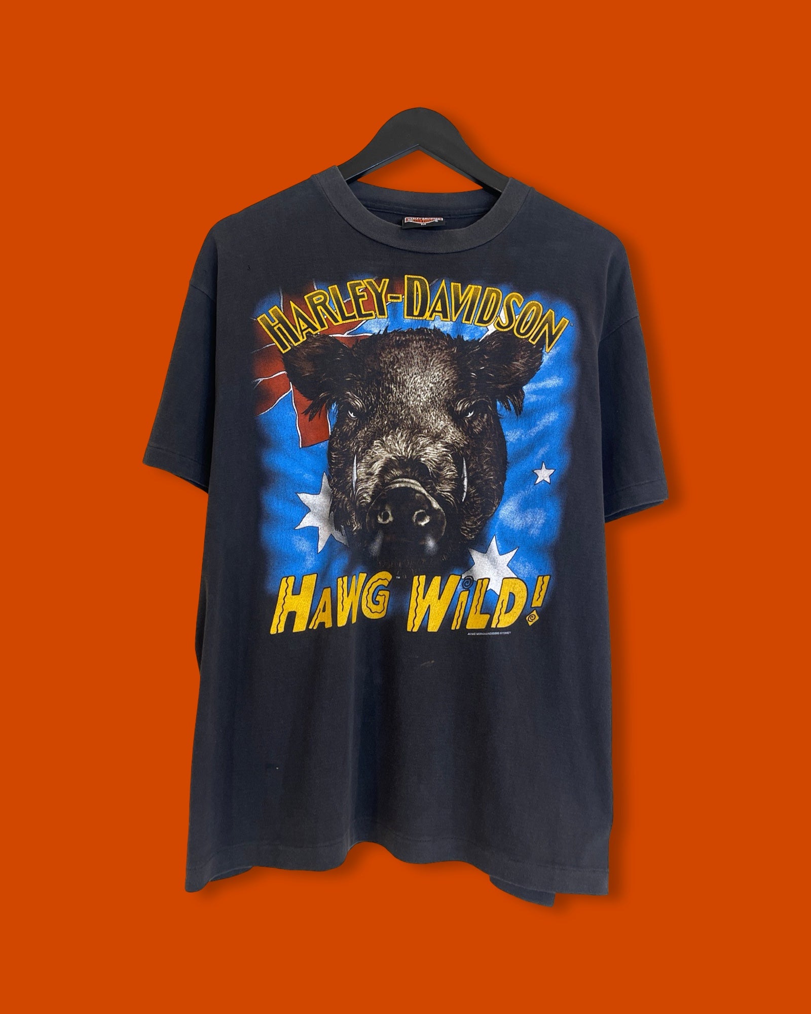 Vntg Harley Davidson Hawg Wild Tee (Medium)*