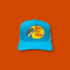 Bass Pro Brand New Cap (Teal)